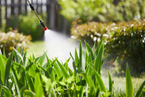 24/7 Emergency Ant Control experts in Warren AFB, WY