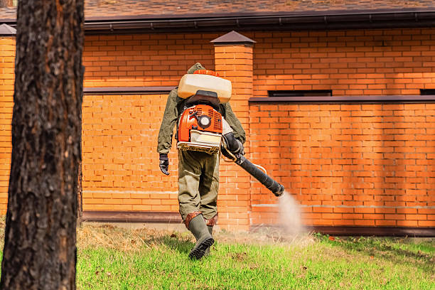 Trusted Termite Control service in Warren AFB, WY - Nex Pest Control